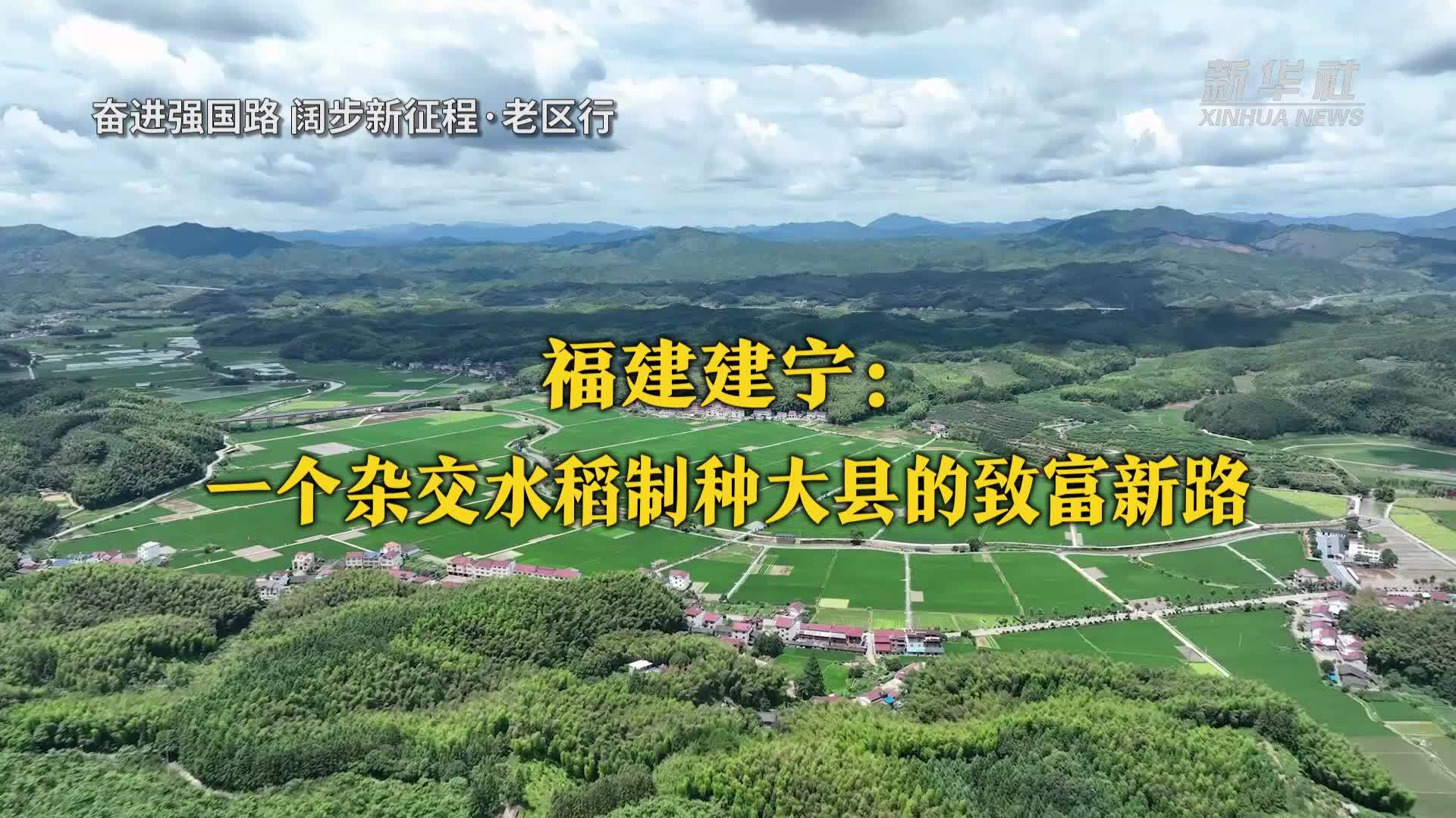 奋进强国路 阔步新征程·老区行｜福建建宁：一个杂交水稻制种大县的致富新路