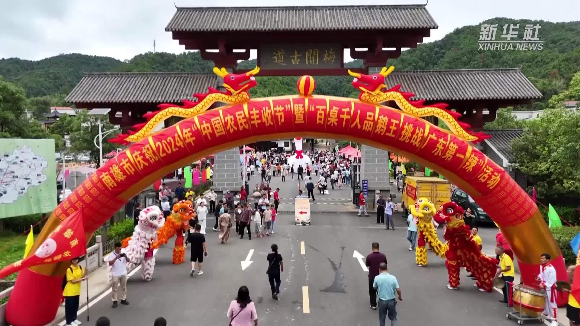 广东南雄鹅王盛宴迎食客