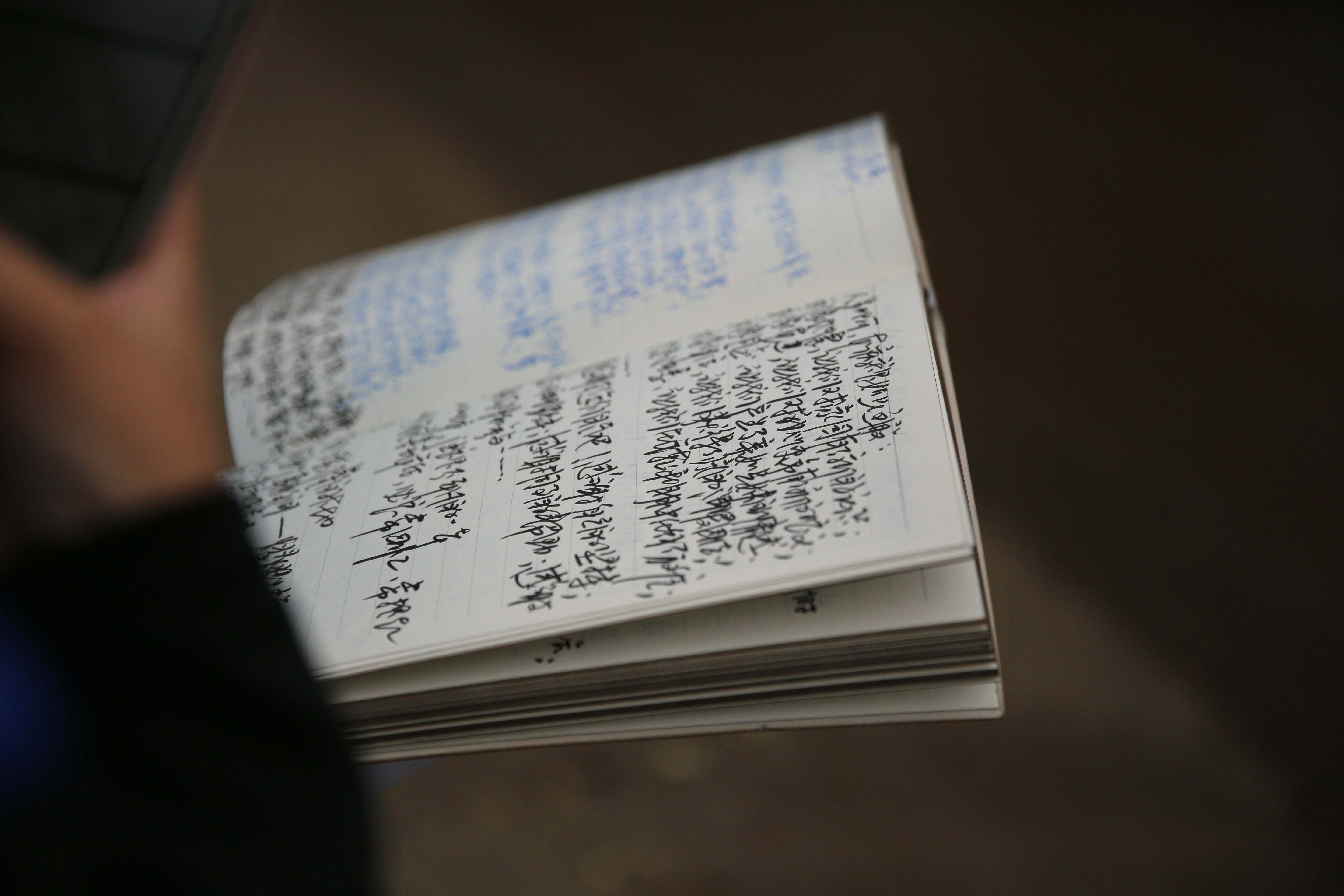 马建华的日记本