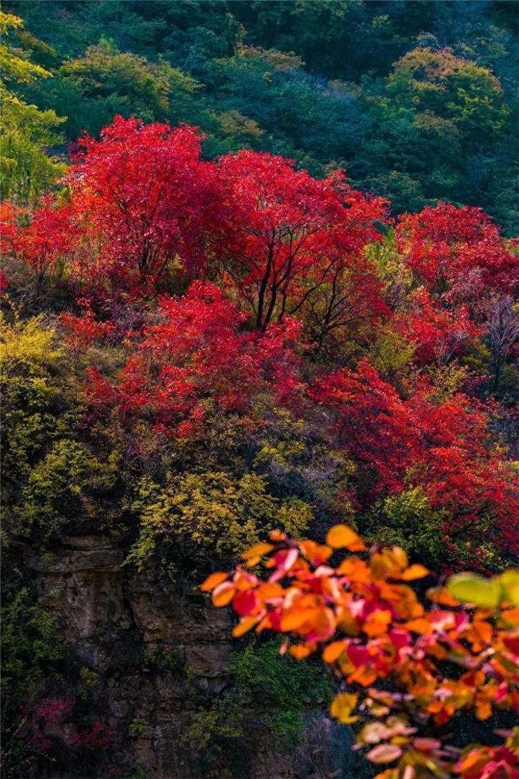 潭溪山 来源:潭溪山文旅