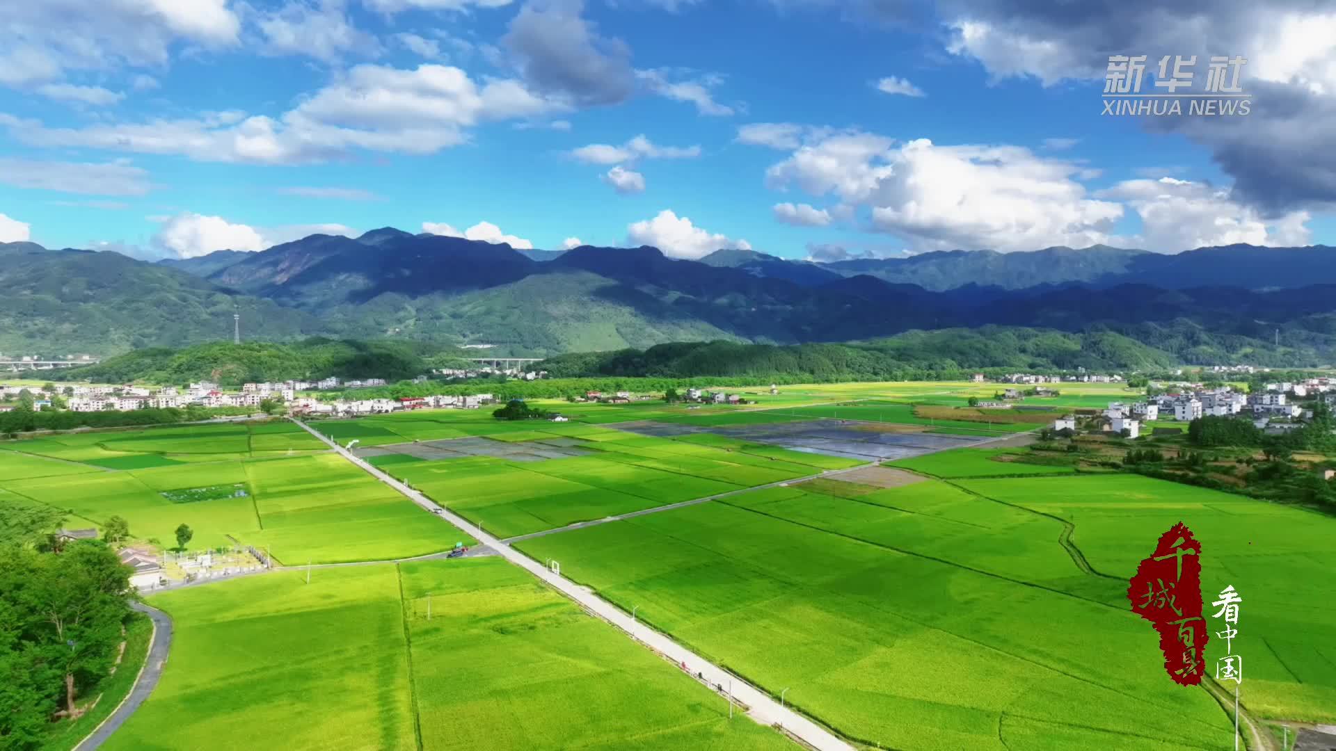 千城百县看中国︱湖南新宁：金秋稻花香里赏美景