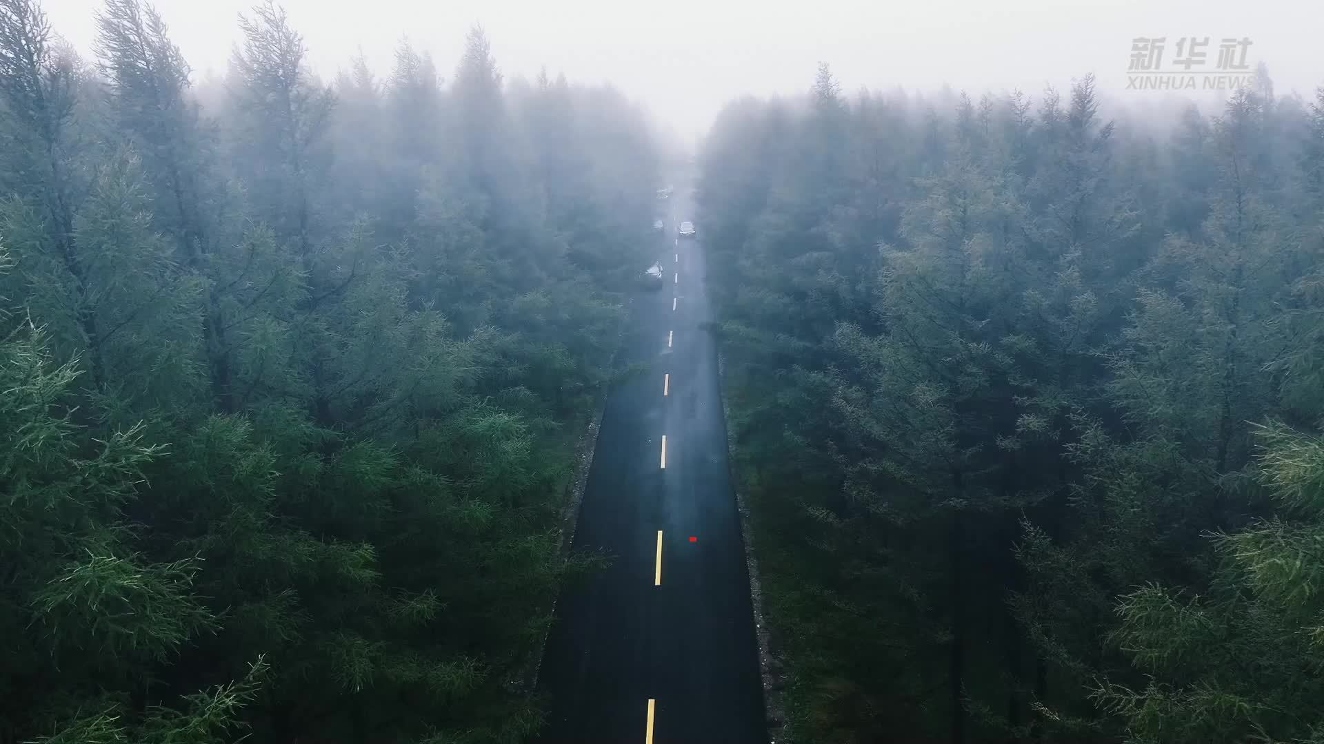 秀我中国｜烟雨入青城 山水如墨染