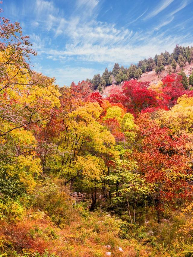 有朋自远方来，山东 is ready！