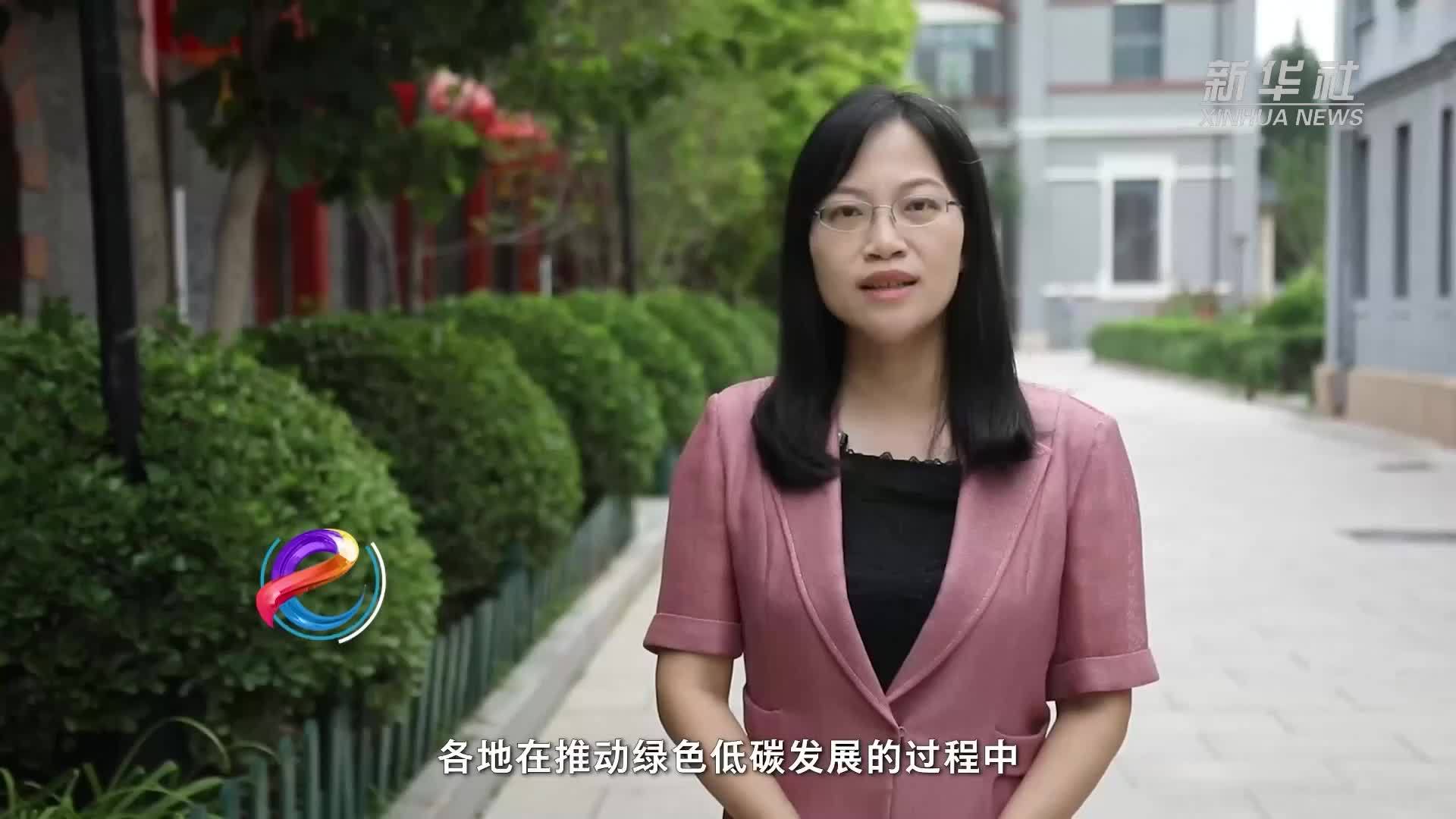 记者观察：厚植生态底色 共享绿意盎然