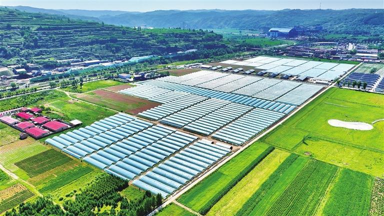 华亭市策底镇设施蔬菜　董浩