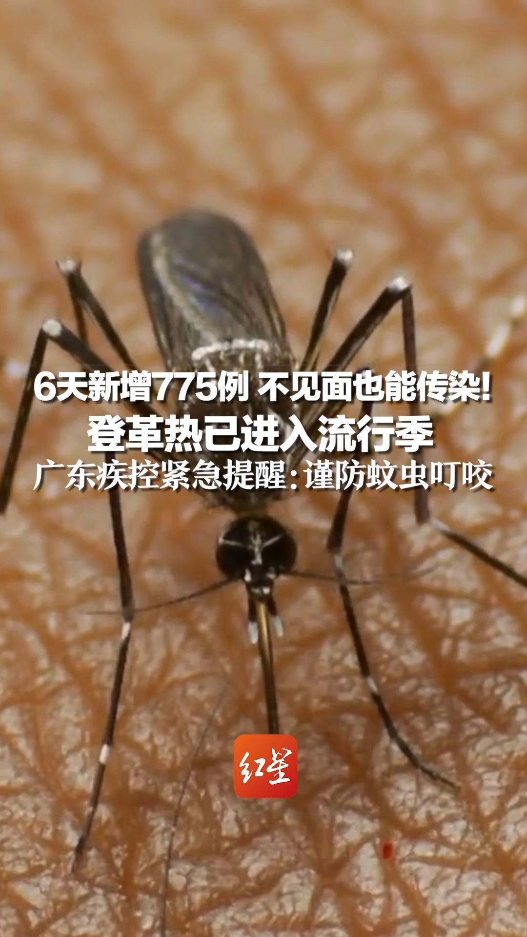 6天新增775例 不见面也能传染！登革热已进入流行季，广东疾控紧急提醒：谨防蚊虫叮咬