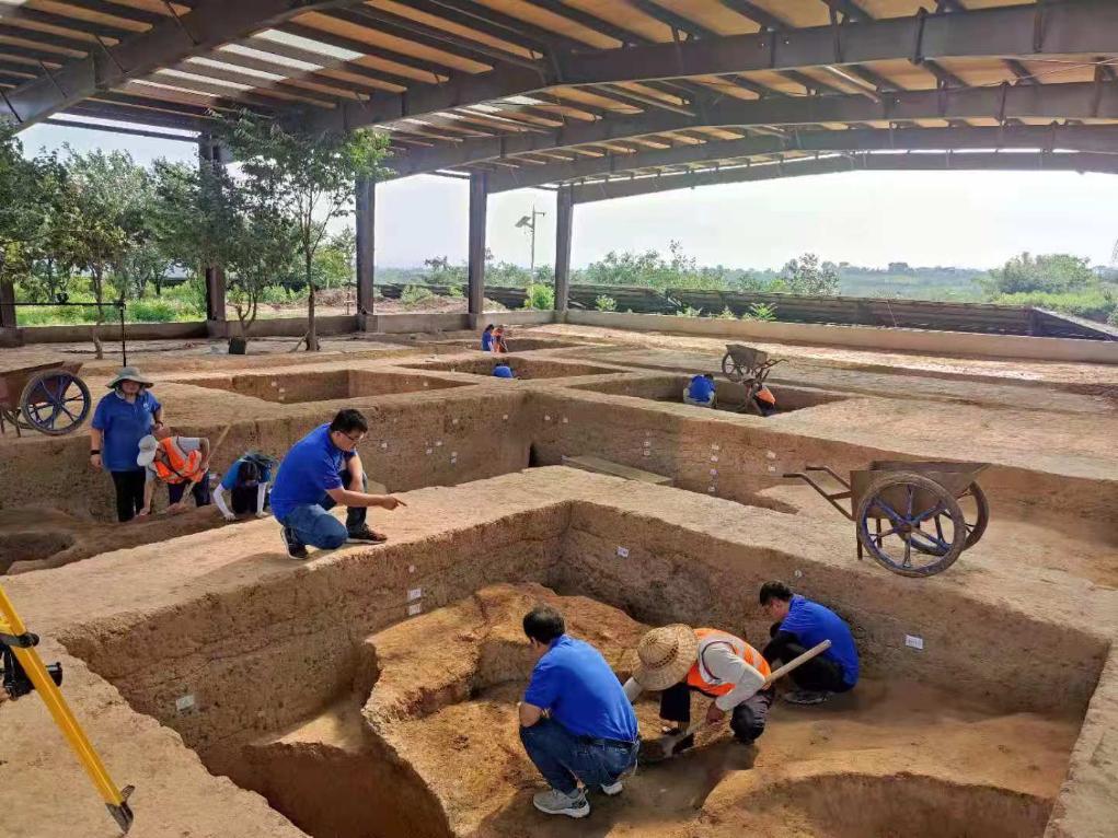 图为仰韶村遗址第四次考古发掘现场。（受访者供图）