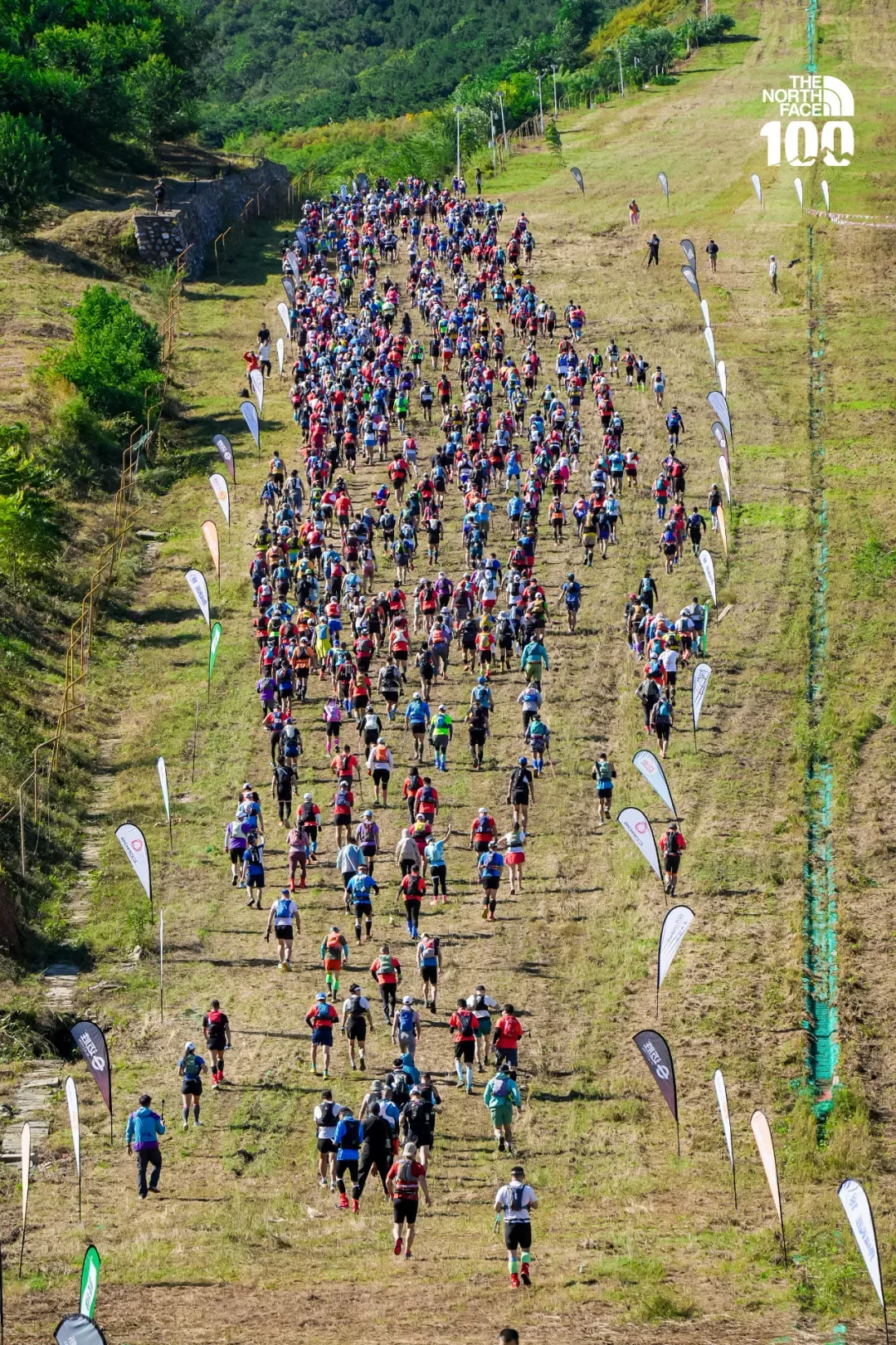 历史扉页，再续新篇！2024TNF100北京圆满落幕