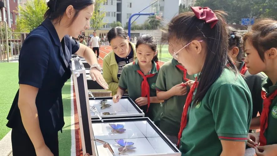 孩子们近距离,直观、生动地接触并了解那些平时难得一见的昆虫。