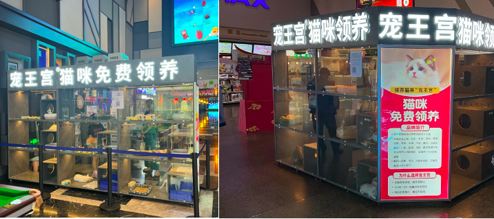 （网友供图：宠王宫门店照片）