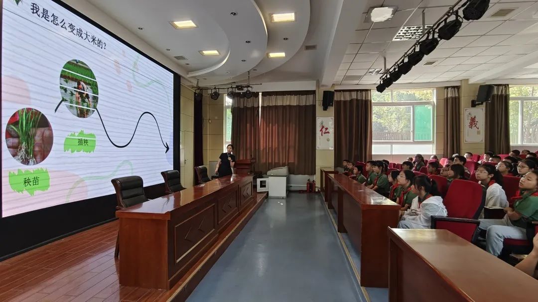 我们平时吃的米饭是由什么制成?水稻有着怎样的“秘密”,跟随老师一起全方位的了解一下大米与水稻的小知识吧~