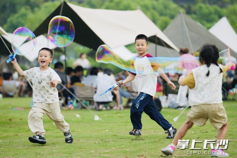 孩子们在草坪上自由嬉戏。均为长沙晚报全媒体记者 邹麟 摄