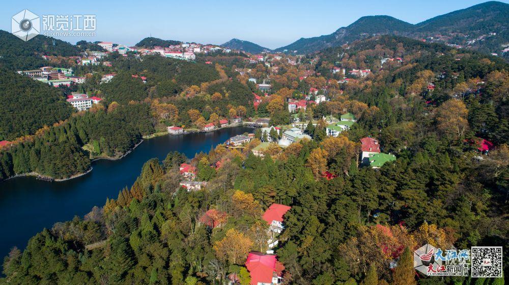 江西省九江市庐山风景区牯岭镇秋意浓浓。(资料图 视觉江西 王祺 摄)