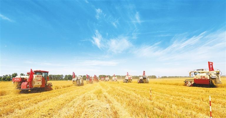 丰收的田野　薛亚平