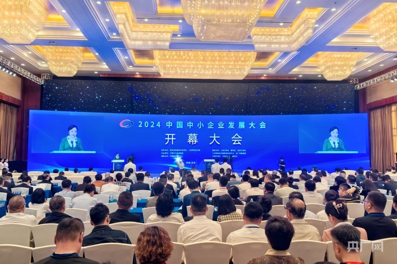 会议现场（央广网记者　邸文炯　摄）