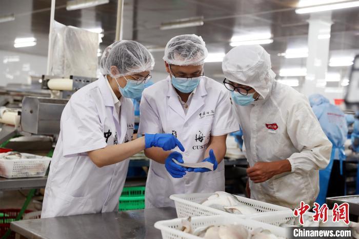 佛山海关驻南海办事处关员对出口冰鲜鱼片进行查验。　刘苗苗 摄