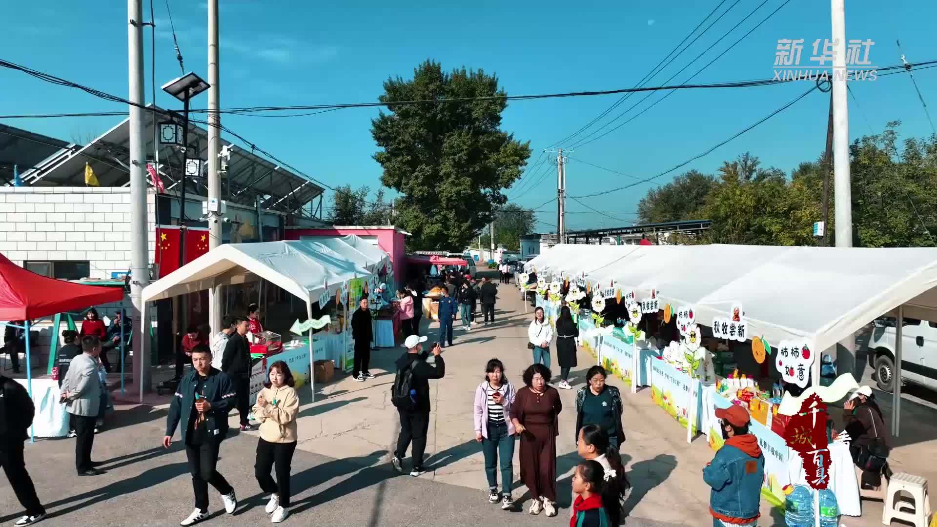 千城百县看中国｜内蒙古昆都仑：又是一年好“丰”景