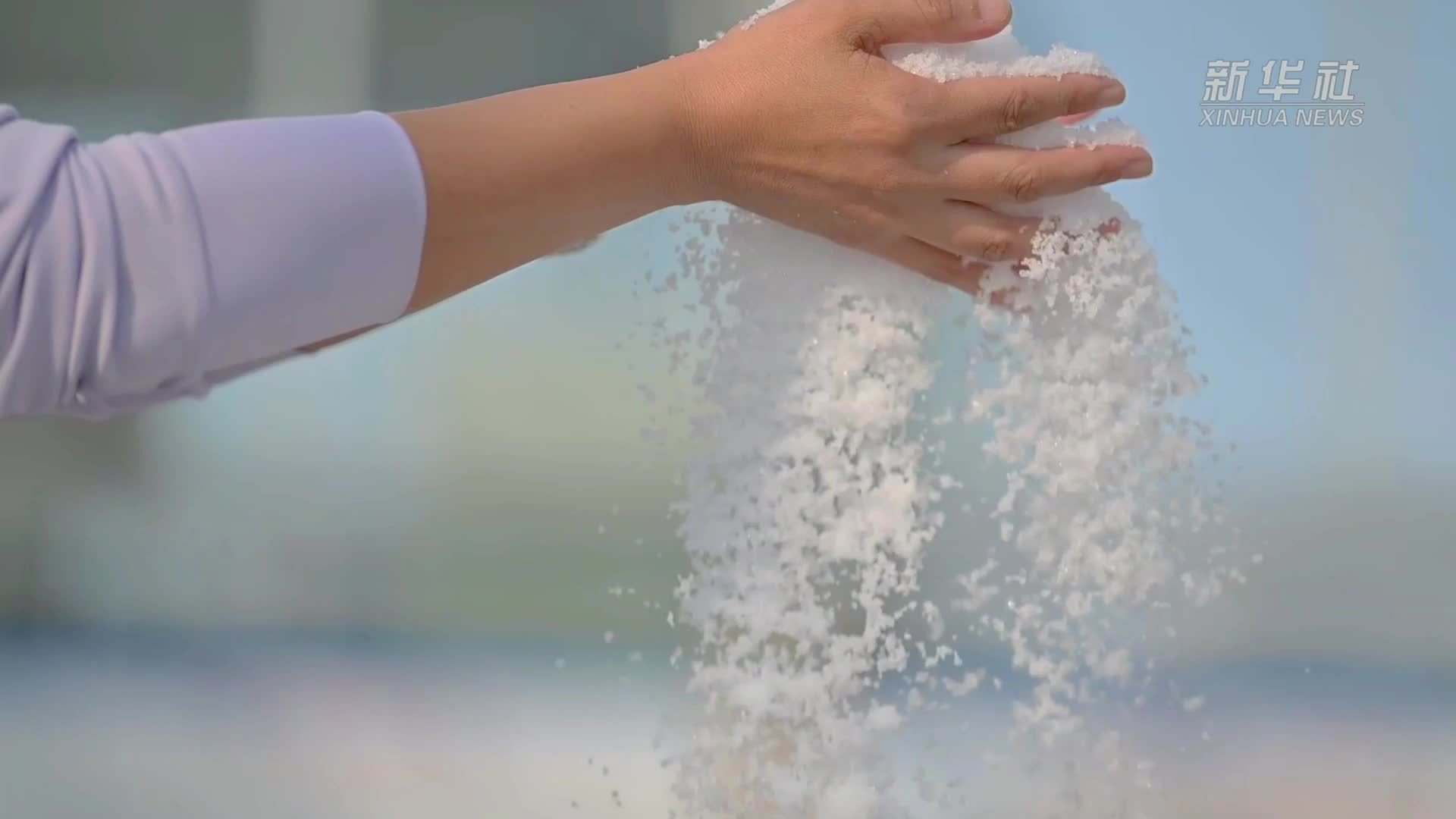 国道之行 海阔天空｜从一滴海水到“百味之王”——一粒海盐的自述