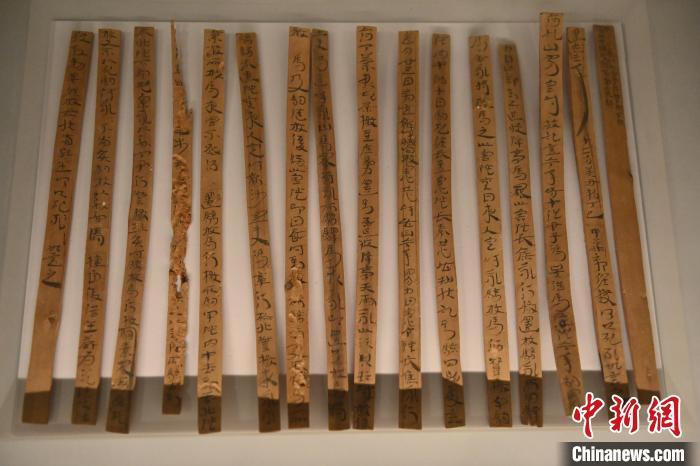 2024年7月24日,甘肃简牍博物馆所藏《隧长焦永死驹劾状》汉简。李亚龙 摄