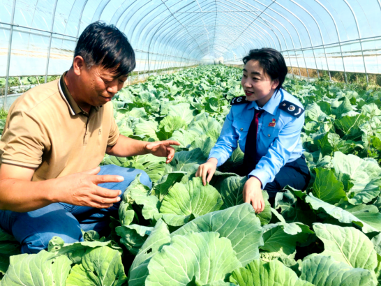 二四六香港管家婆生肖表,为农户送“粮”策　税力量护航嘉峪关好“丰”景