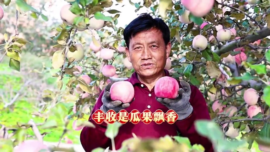 丰收的意义，在崇信是这样的