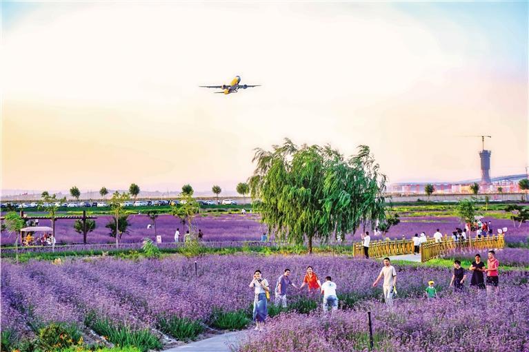 兰州新区临港花海