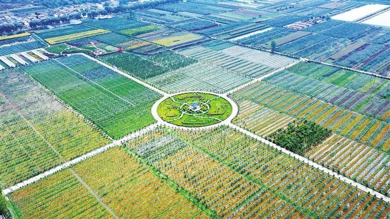 静宁县城川镇红旗村现代苹果高新技术示范园　姚志强