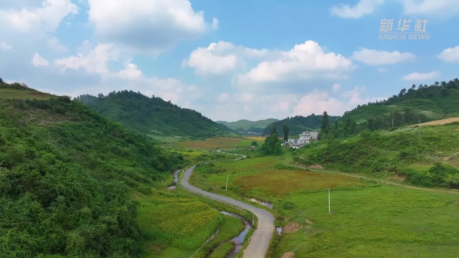 千城胜景｜云南永善：海花绽放尽显高原湿地之美