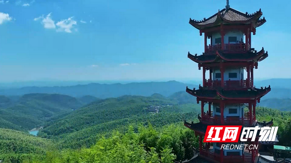 蔡伦竹海观海楼。