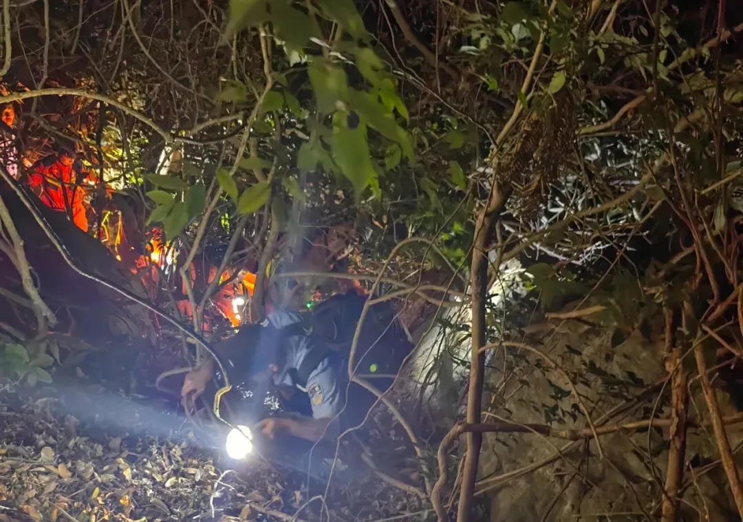 警方紧急救援7个多小时 8名游客被困庐山秀峰终获平安