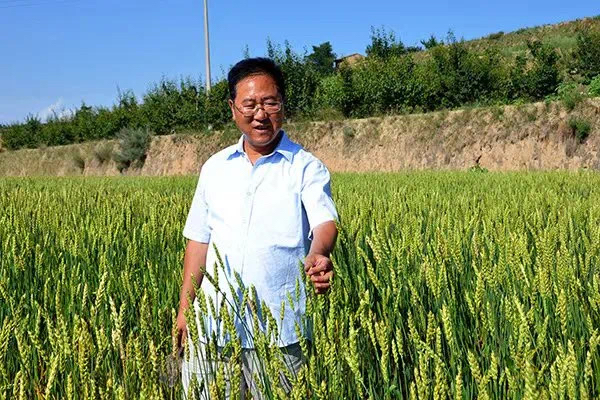 柴守玺多年来深入田间地头