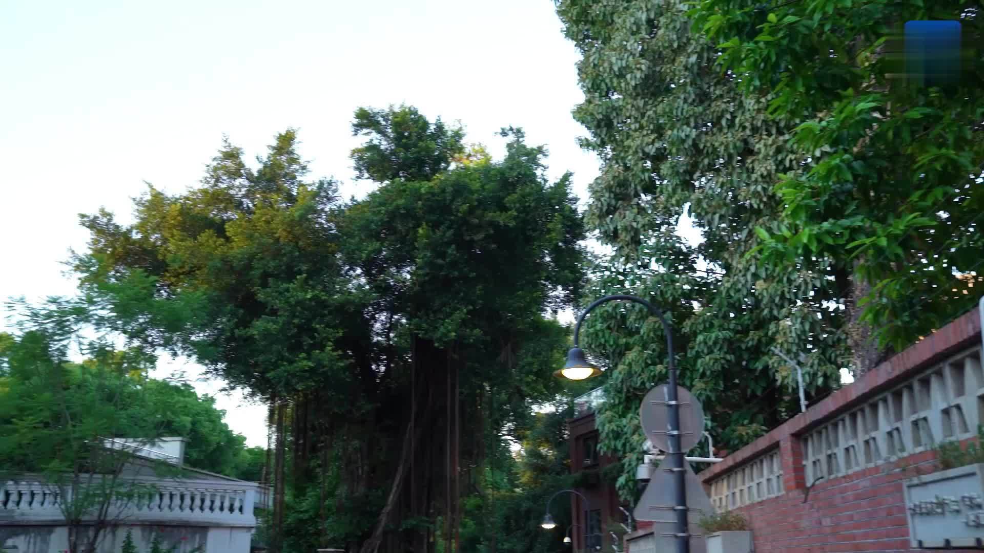 十个维度看中国｜七溜八溜不离福州 感受福州“ka溜度”