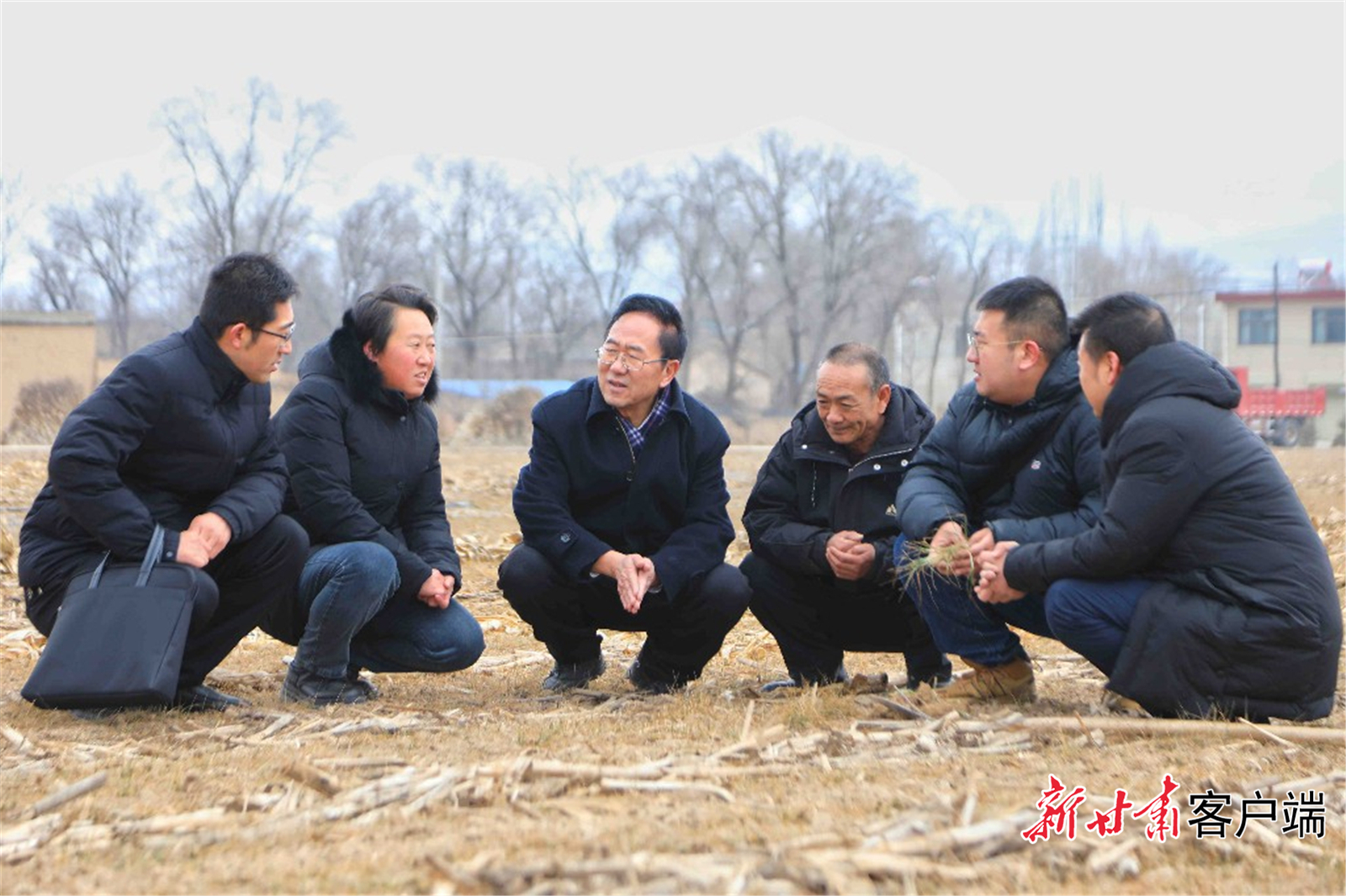 柴守玺查看旱地秸秆带状覆盖还田技术的应用示范情况