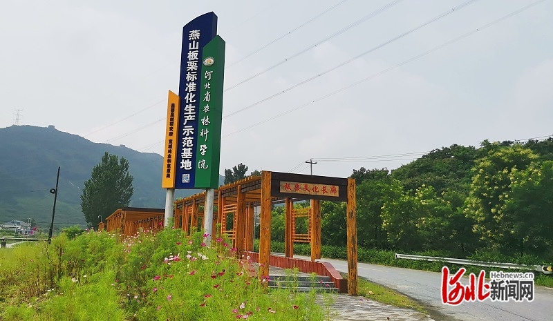 图为河北省农林科学院在承德市宽城县艾峪口村创建的“燕山板栗标准化生产示范基地”。