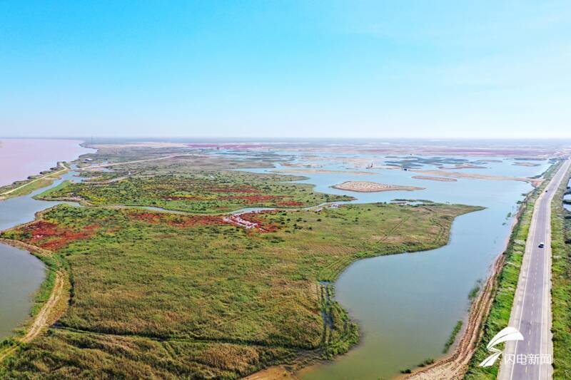 黄河三角洲湿地 图源/闪电新闻