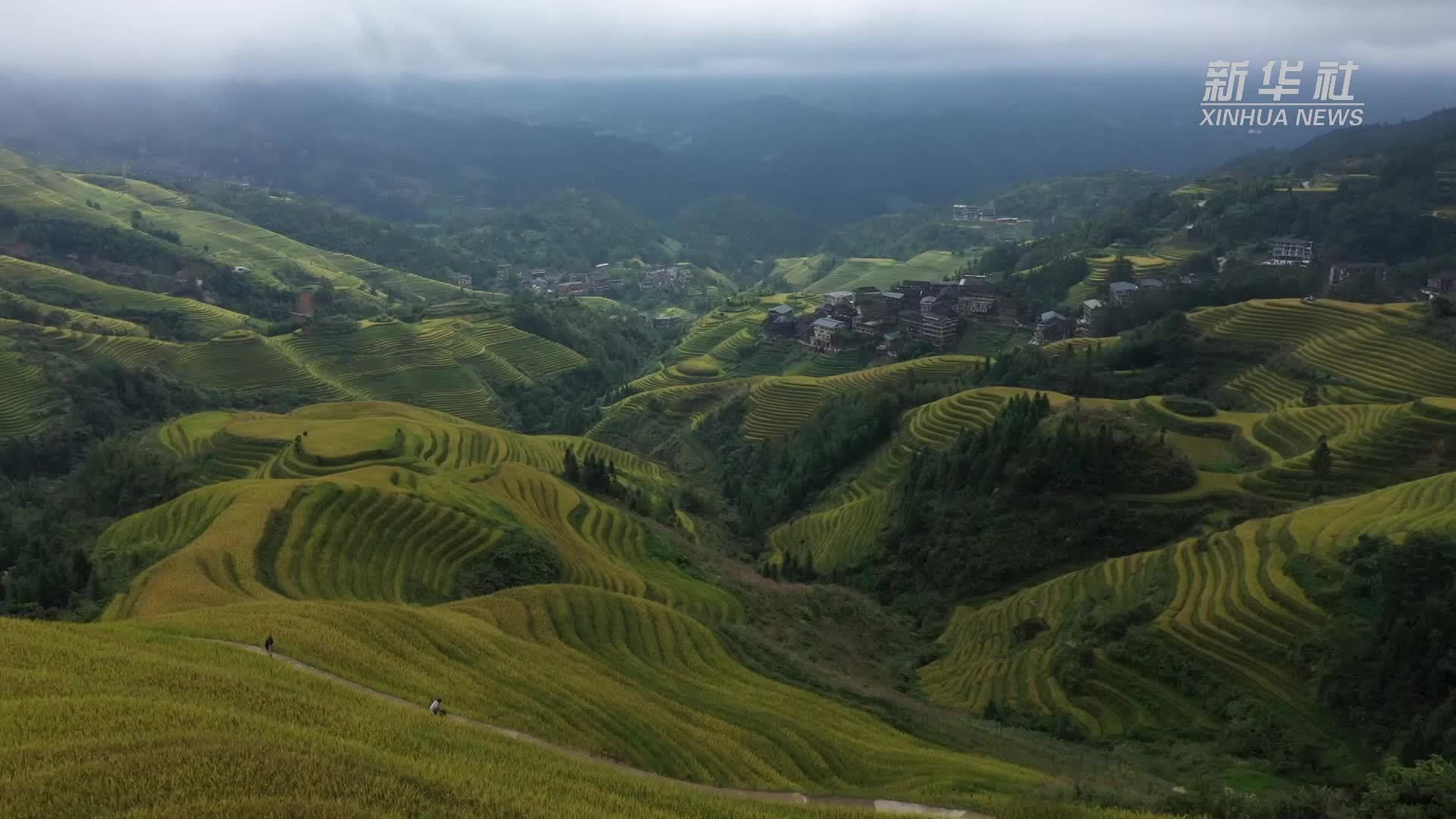 金秋到龙脊感受“世界梯田原乡”之美