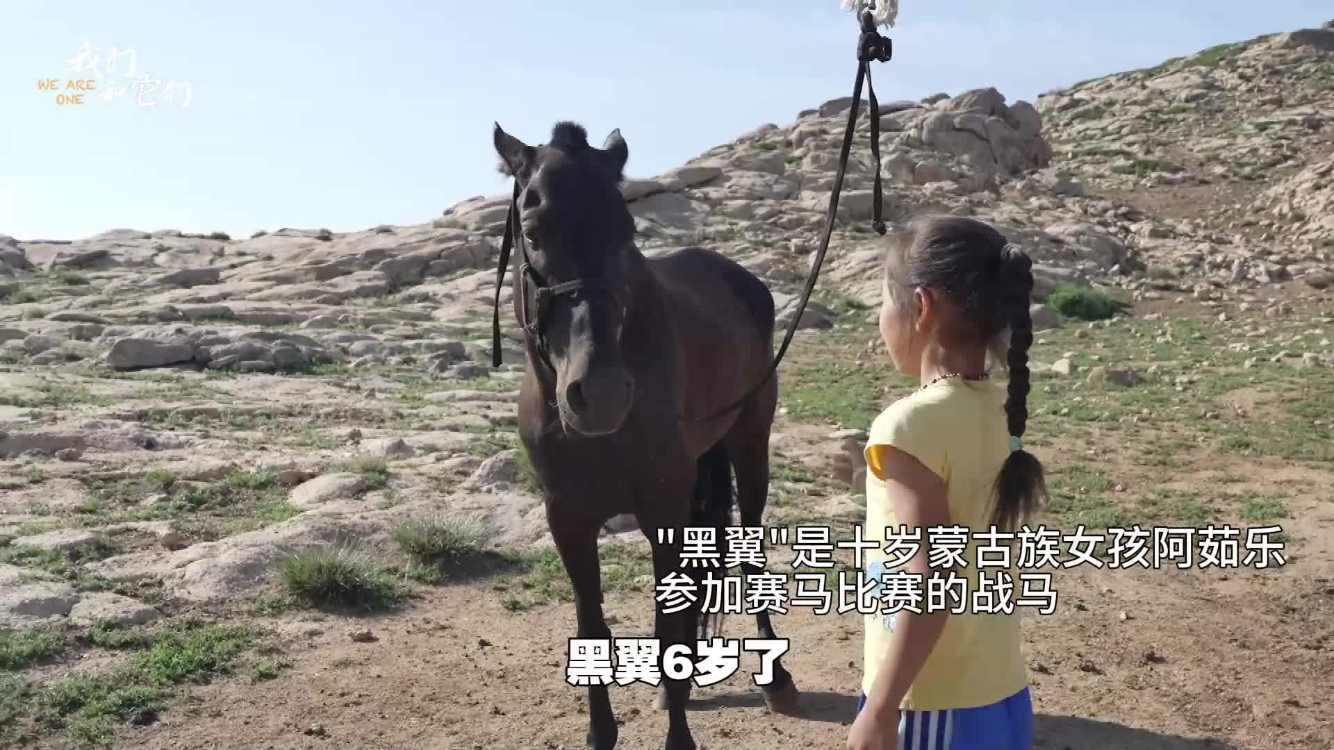 十岁女孩一招征服倔强马匹