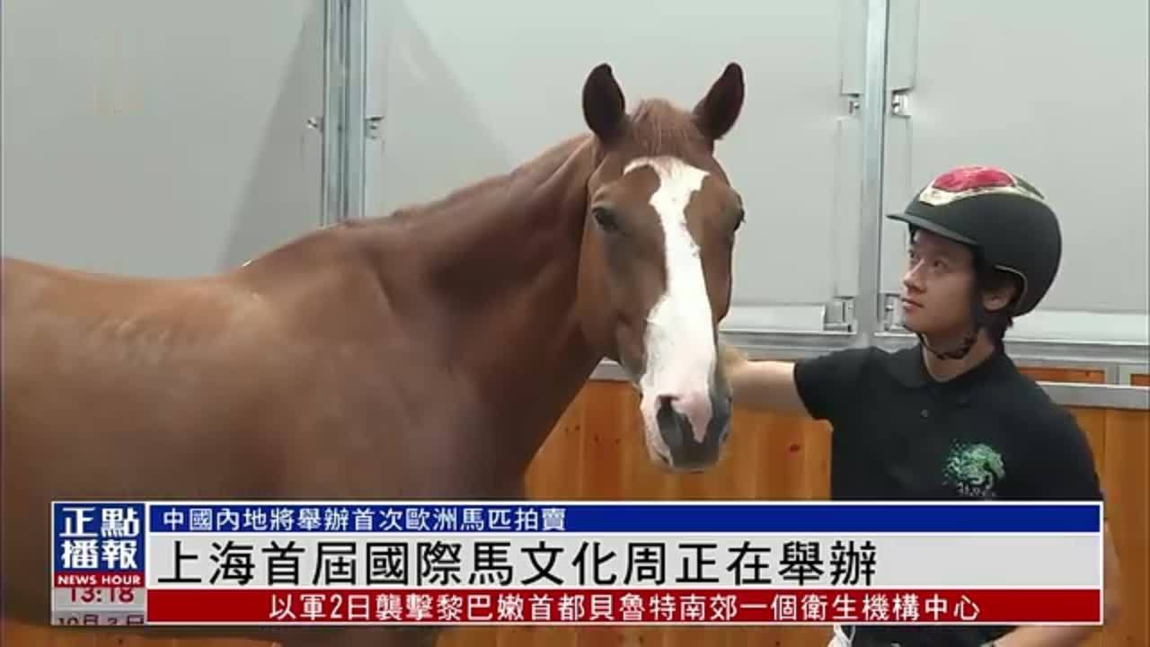 上海首届国际马文化周举办 欧洲马匹首次在中国拍卖