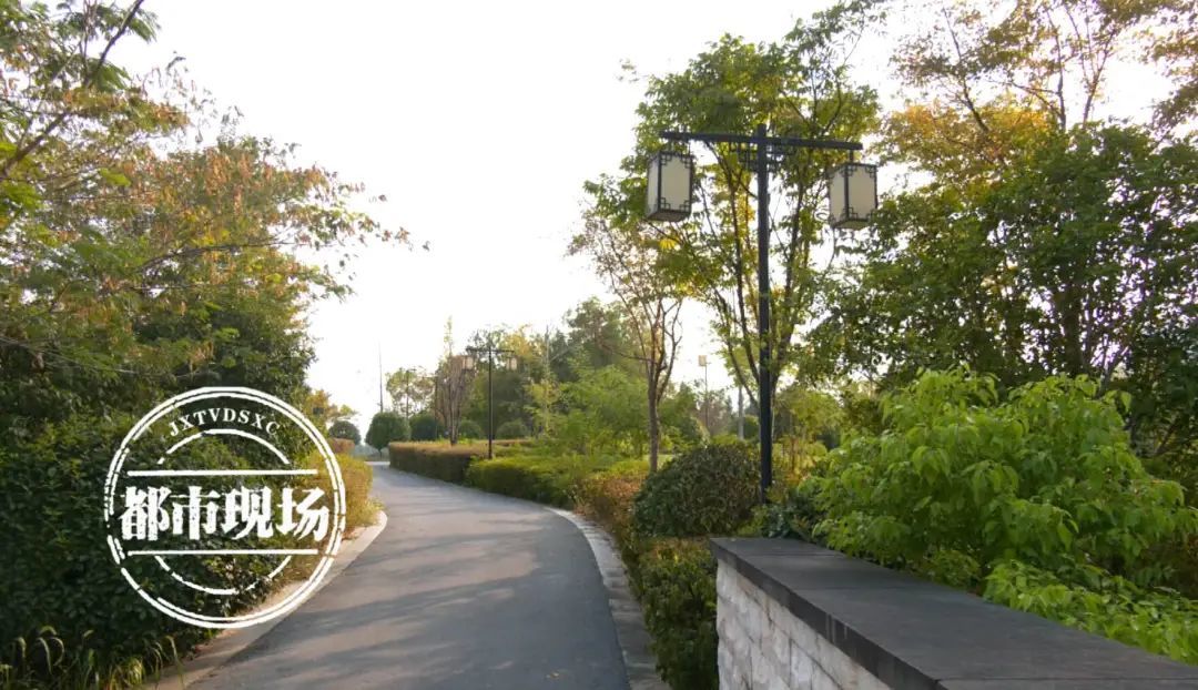 南昌象湖湿地公园西侧路灯成摆设 附近居民：漆黑一片有点瘆人