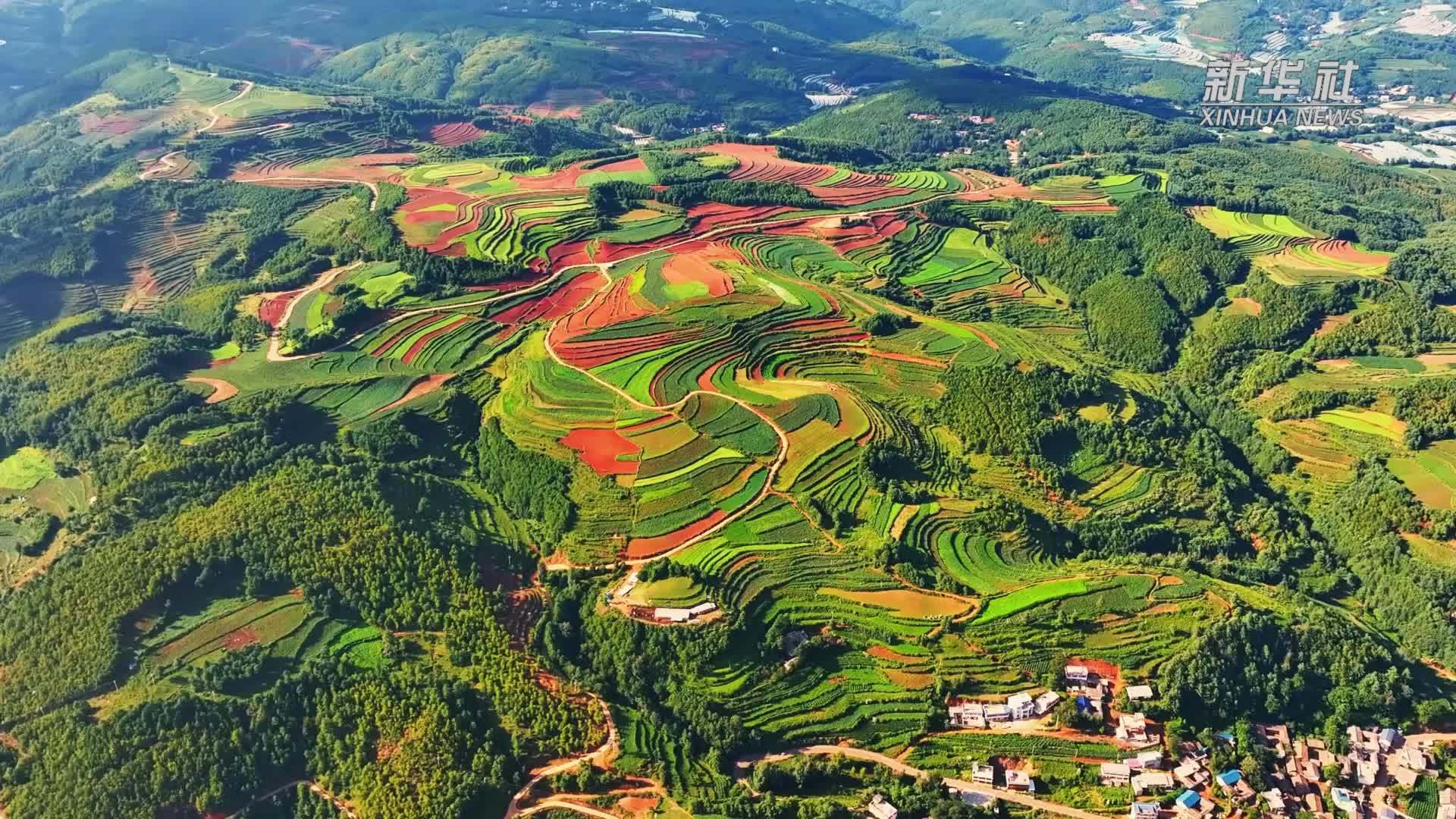 千城胜景｜云南巧家：高山红土地五彩斑斓