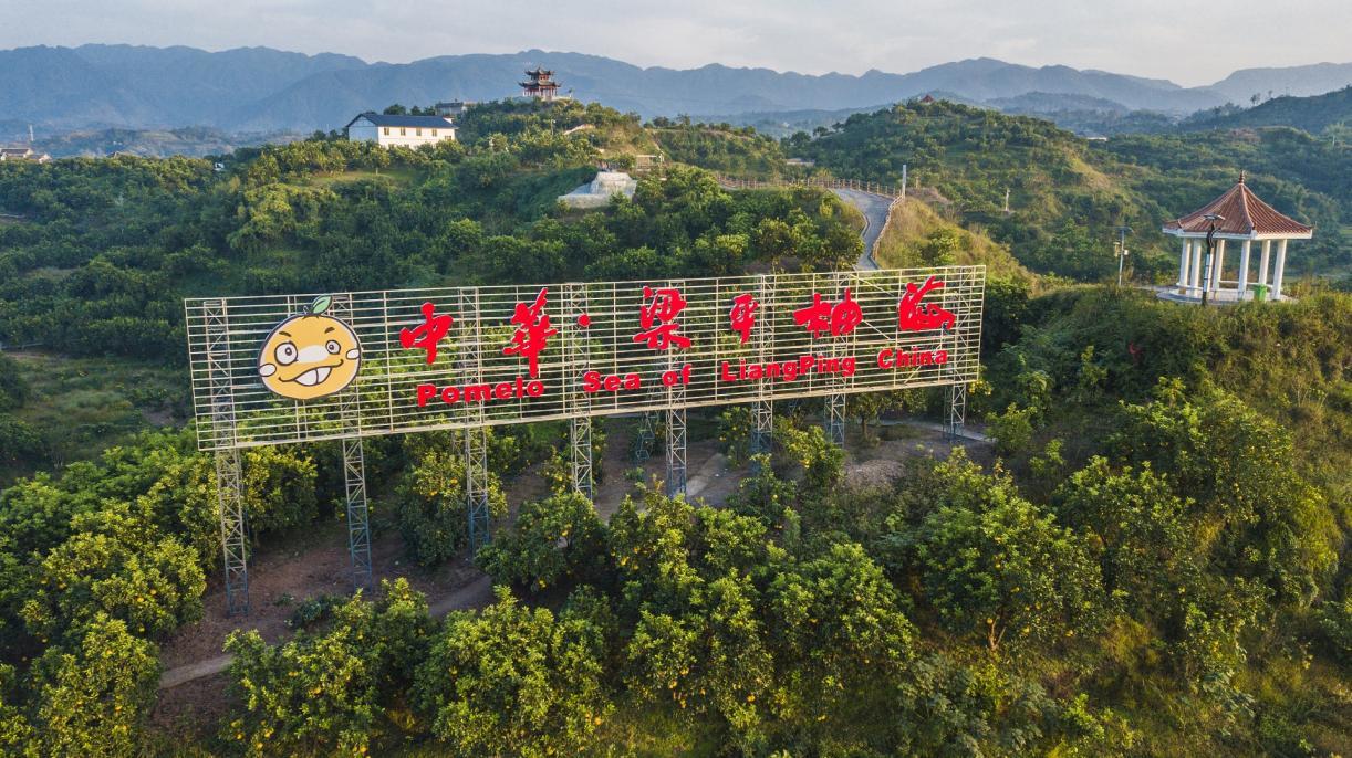 中华梁平柚海景区 相关景区供图