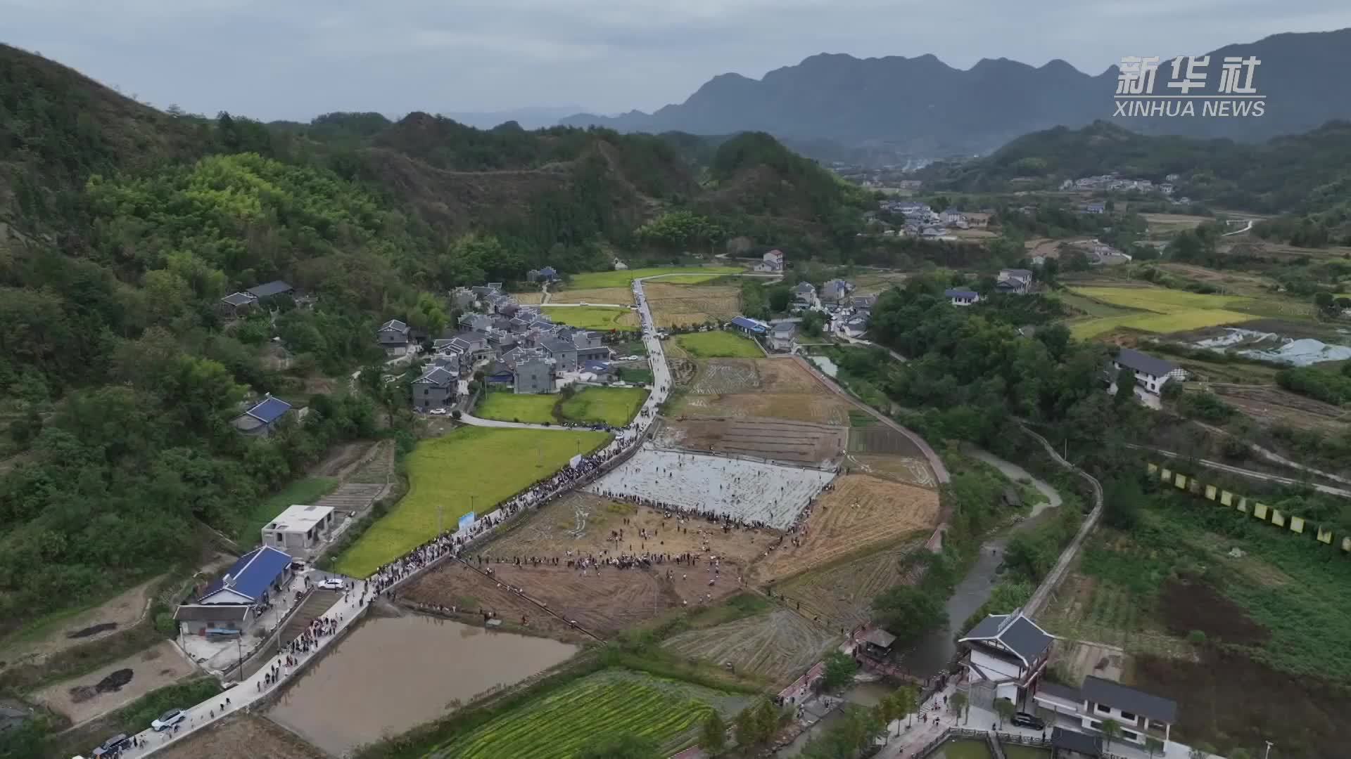 湖南张家界：国庆假期“村游”火热 农文旅添彩乡村“丰”景