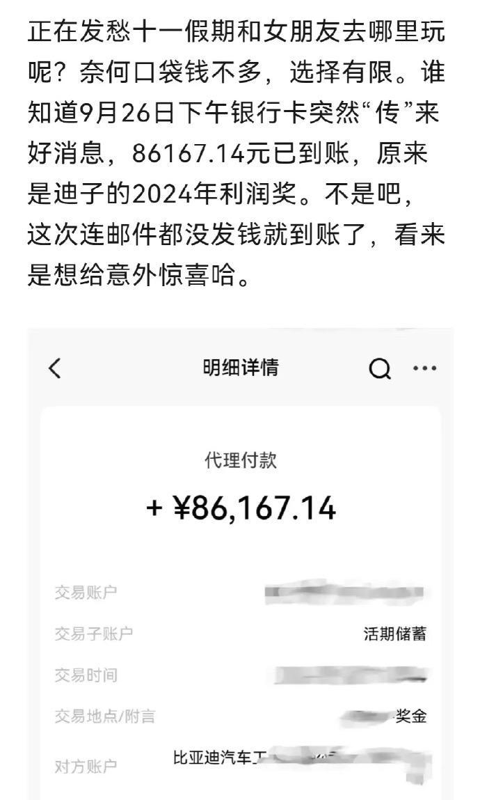 比亚迪向员工发放利润奖：有人拿超10万元 - 网络动向论坛 - 吾爱微网