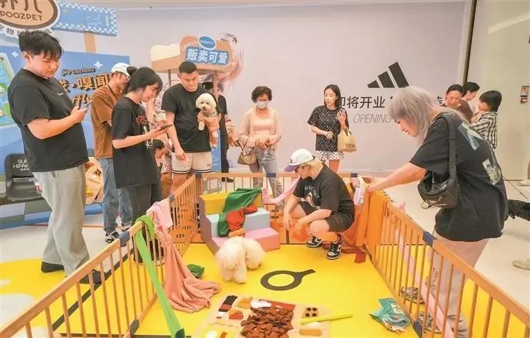 ▲在深圳湾睿印RAIL IN超级挥爪实验室，市民带着宠物一同玩耍。来源：深圳晚报记者 严文婷 摄。