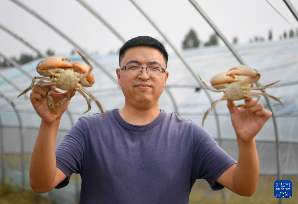 9月29日，在河南省新乡市延津县盐厂村，杨飞展示收获的青蟹。新华社记者 郝源 摄