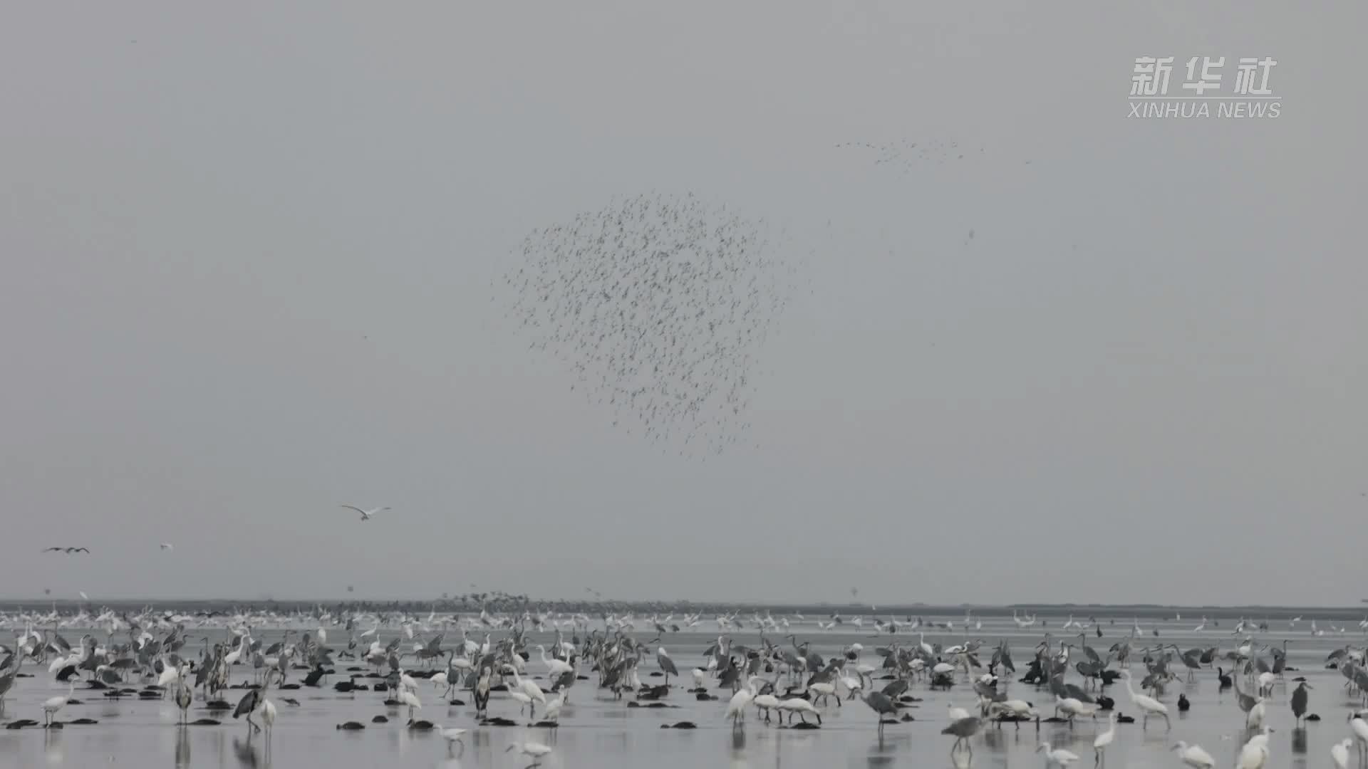 “鄱阳湖，我们回来啦！”