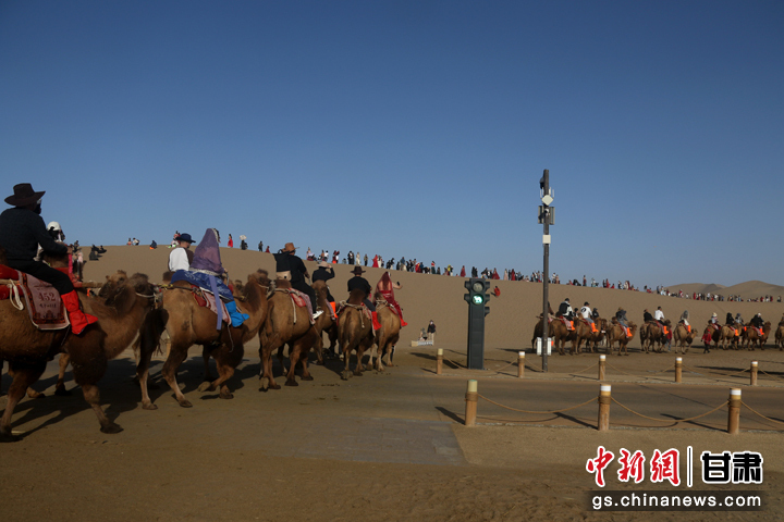 国庆假期，甘肃省敦煌市鸣沙山月牙泉景区迎来旅游高峰。景区充分发挥设置在景区行人步道和骆驼通道交叉点的两处交通信号灯“骆驼红绿灯”作用，引导人、车和骆驼有序分流，有效确保了景区交通安全畅通。张晓亮　摄