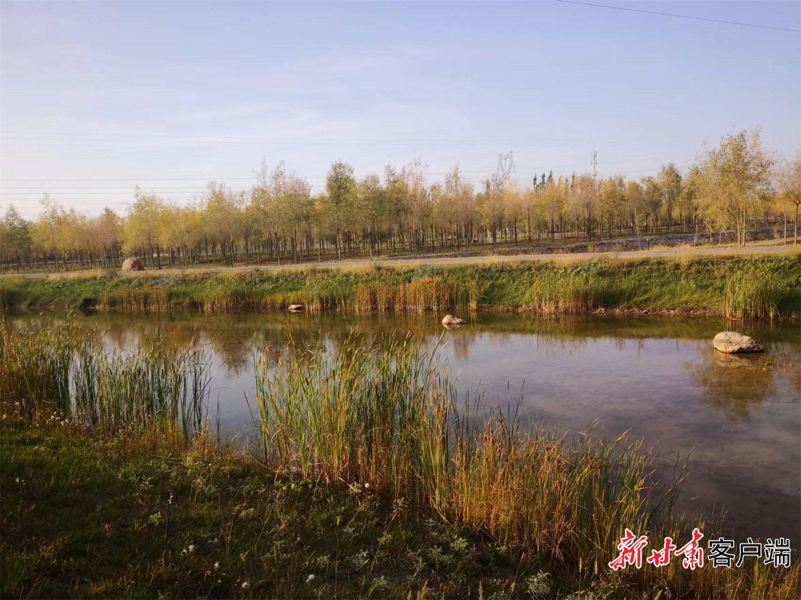 甘州区黑河林场人工林风景怡人