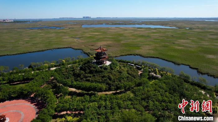 9月22日，河北南大港湿地景色。　周孙榆 摄