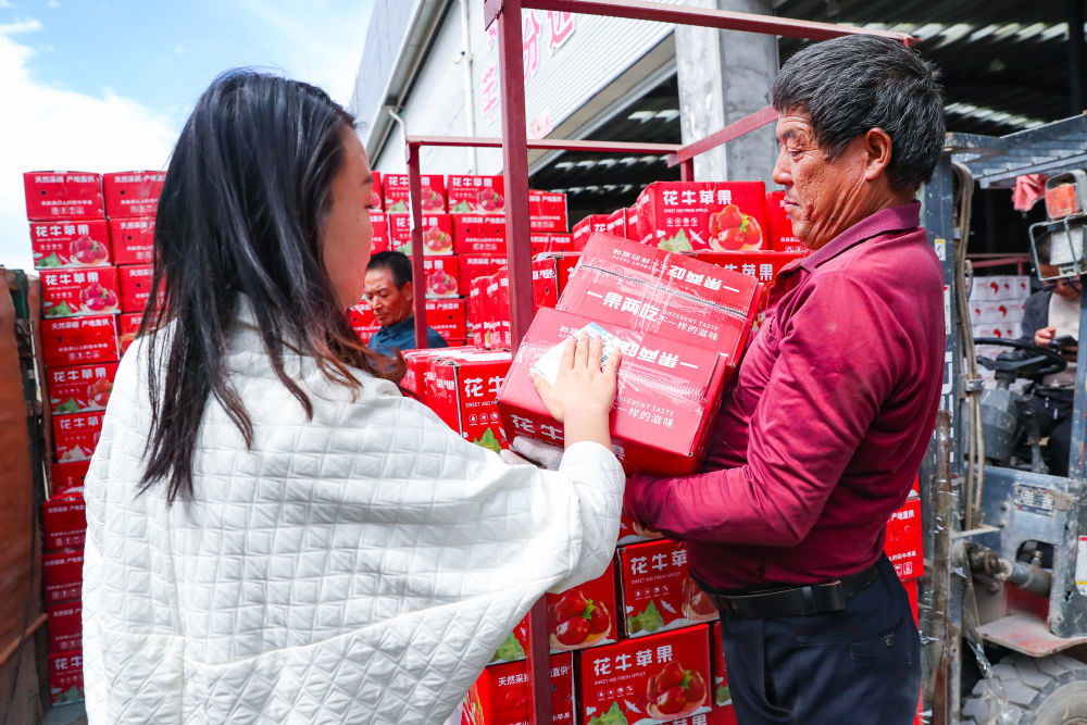 在礼县苹果产业发展集团有限责任公司，一家快递公司工作人员（左一）为即将发货的苹果贴上快递单。新华社记者　郎兵兵　摄